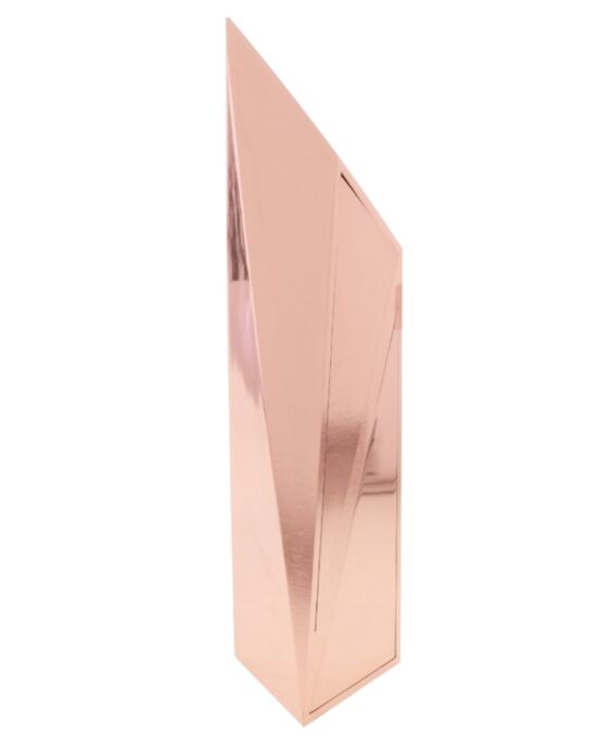 Modern Tower Bronze Award