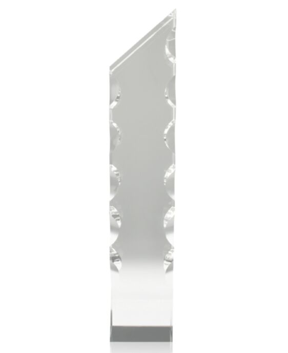 Super Edge Large Award