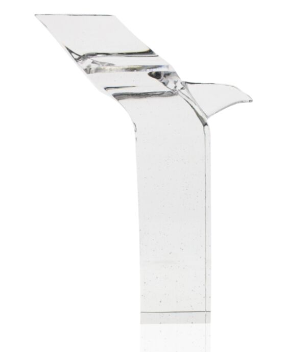 Clear Eagle Pate de Verre Award