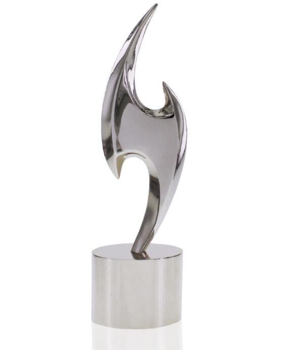 Society Star Zinc Award