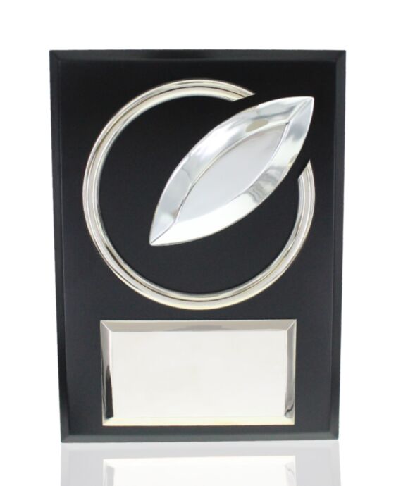 Power Check Plaque Award