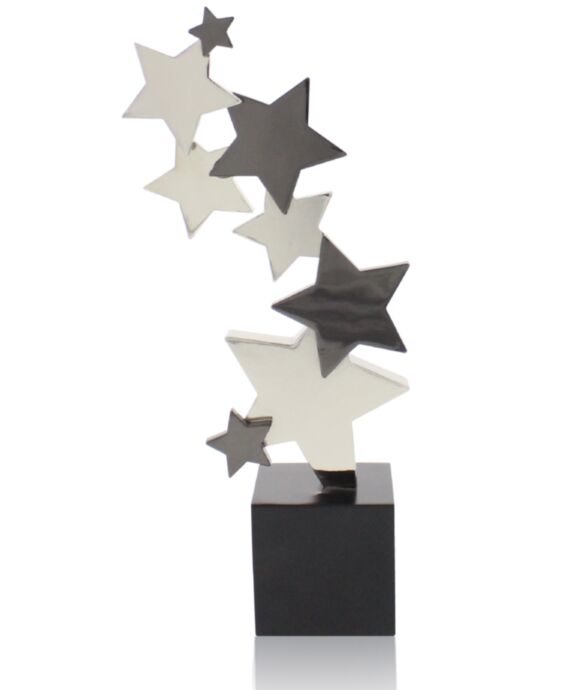 SA Star 2 Award