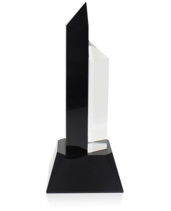Hexagon Black Clear Award