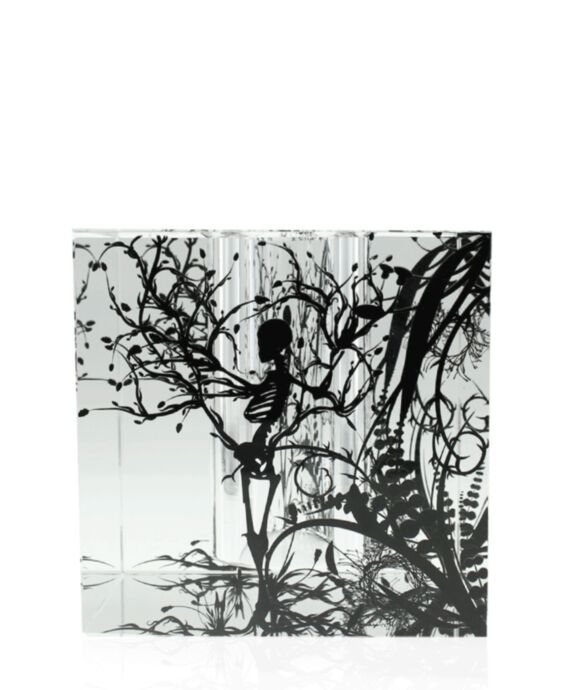 Nature Box Crystal Award