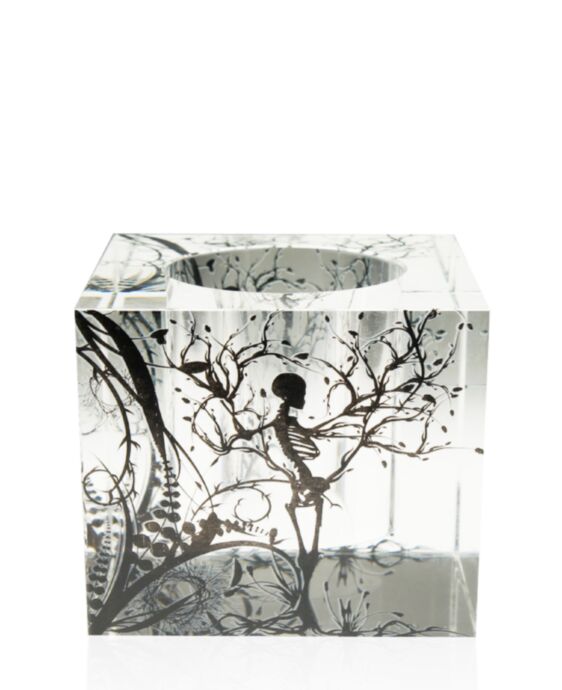 Nature Box 8" Lucite Award