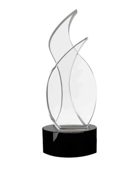 Waves Medium Award