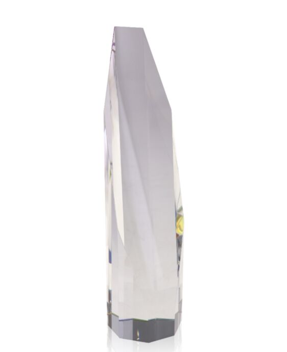 Octa-Dichro 10" Award