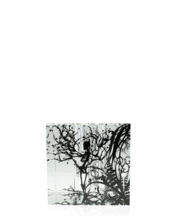 Nature Box 4" Crystal Award