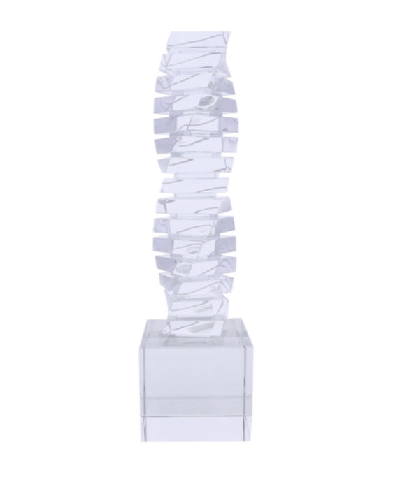 Crystal Twist Award