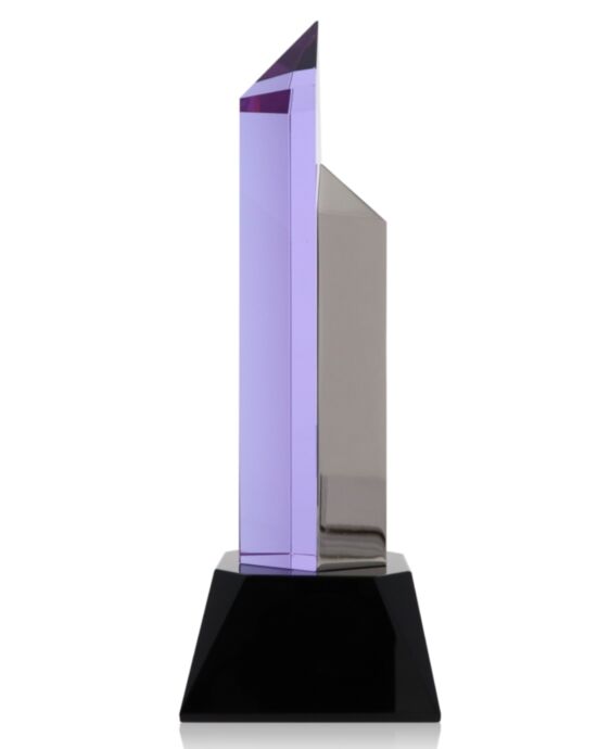Hexagon Purple Silver Award