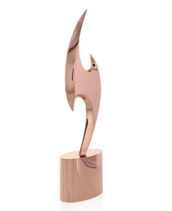 Society Star Copper Award