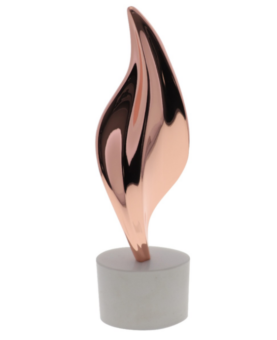 Star Bird Limited Award