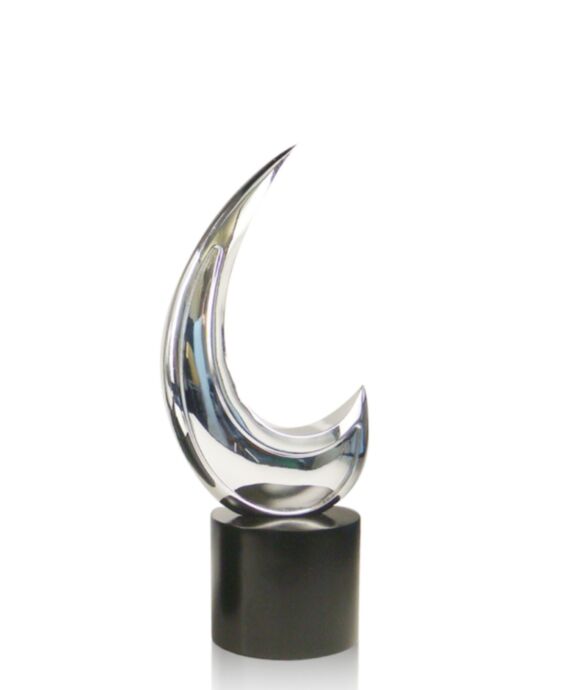 Super C Silver Medium Award