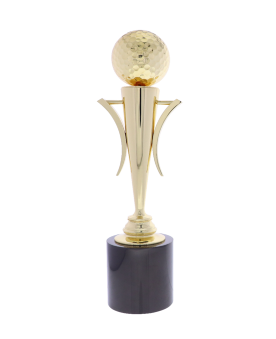 Sports 1  -  Golf Award