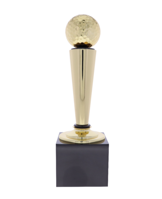 Sports 2  -  Golf Award