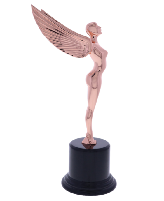 Society Angel Bronze Award
