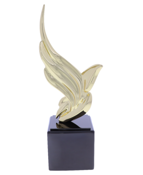 Flight 1 Award