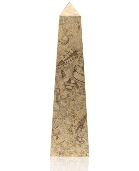 Straight Obelisk Fossil Stone Award