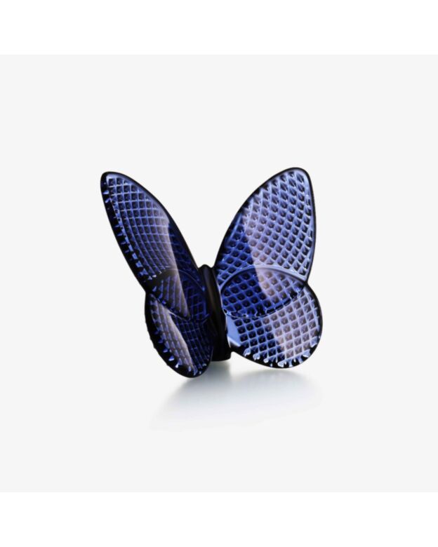 Lucky Butterfly