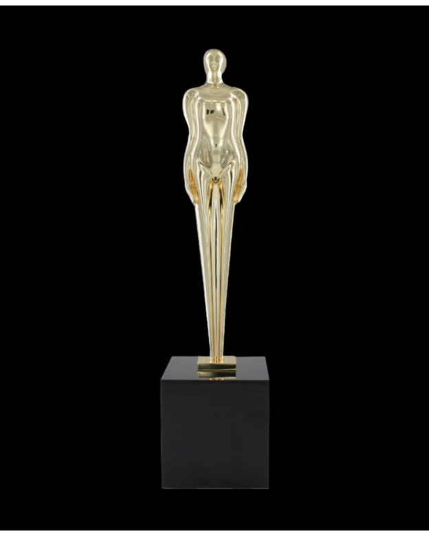 FIGURE 1 Award