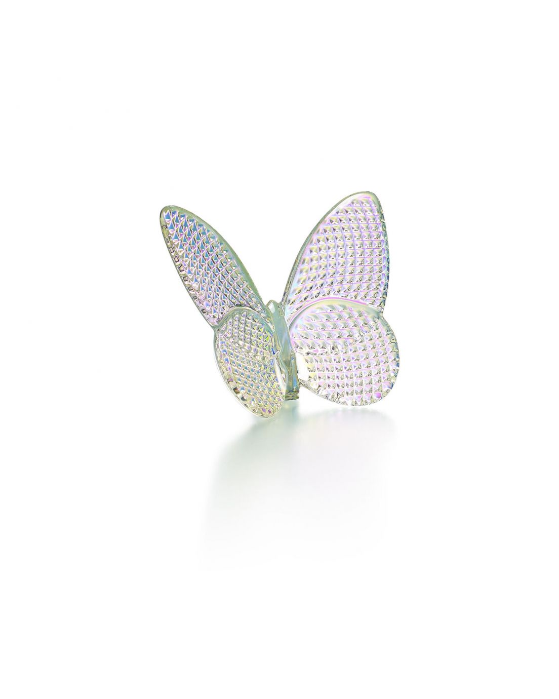 Papillon Lucky Diamond