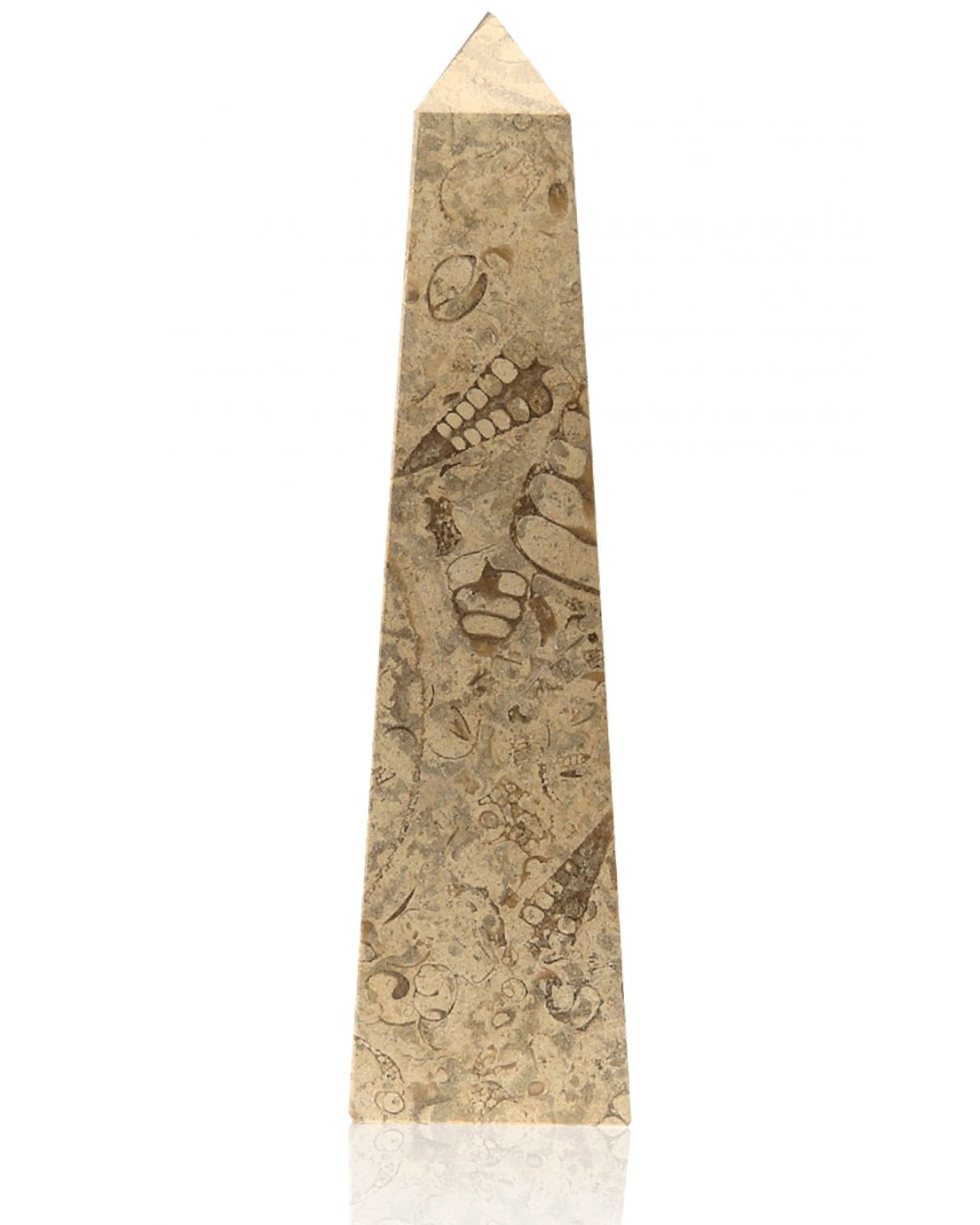 Straight Obelisk Fossil Stone