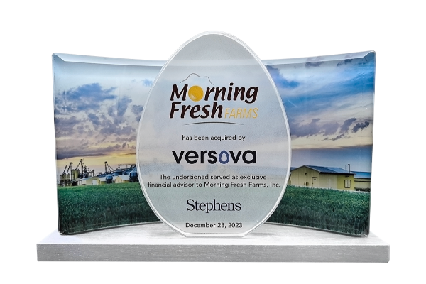 Egg shaped cut out deal toy with curved crystal back and aluminum base