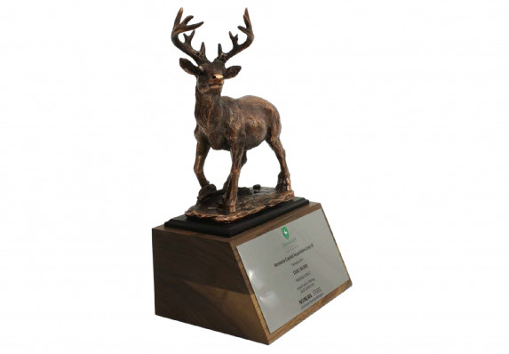 A highly detailed model stag deer in antiqued bronze mounted on a deal gift