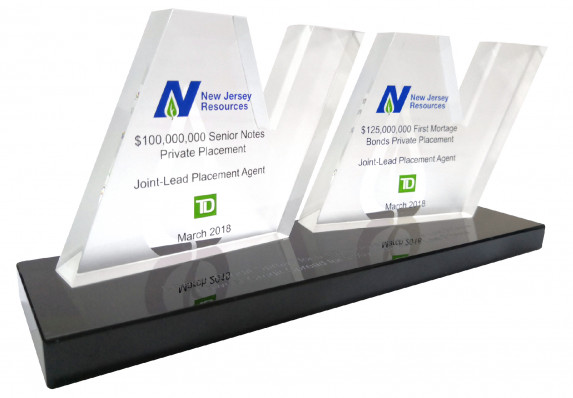 Two acrylic panels cut in shape of logo and mounted on a long base.