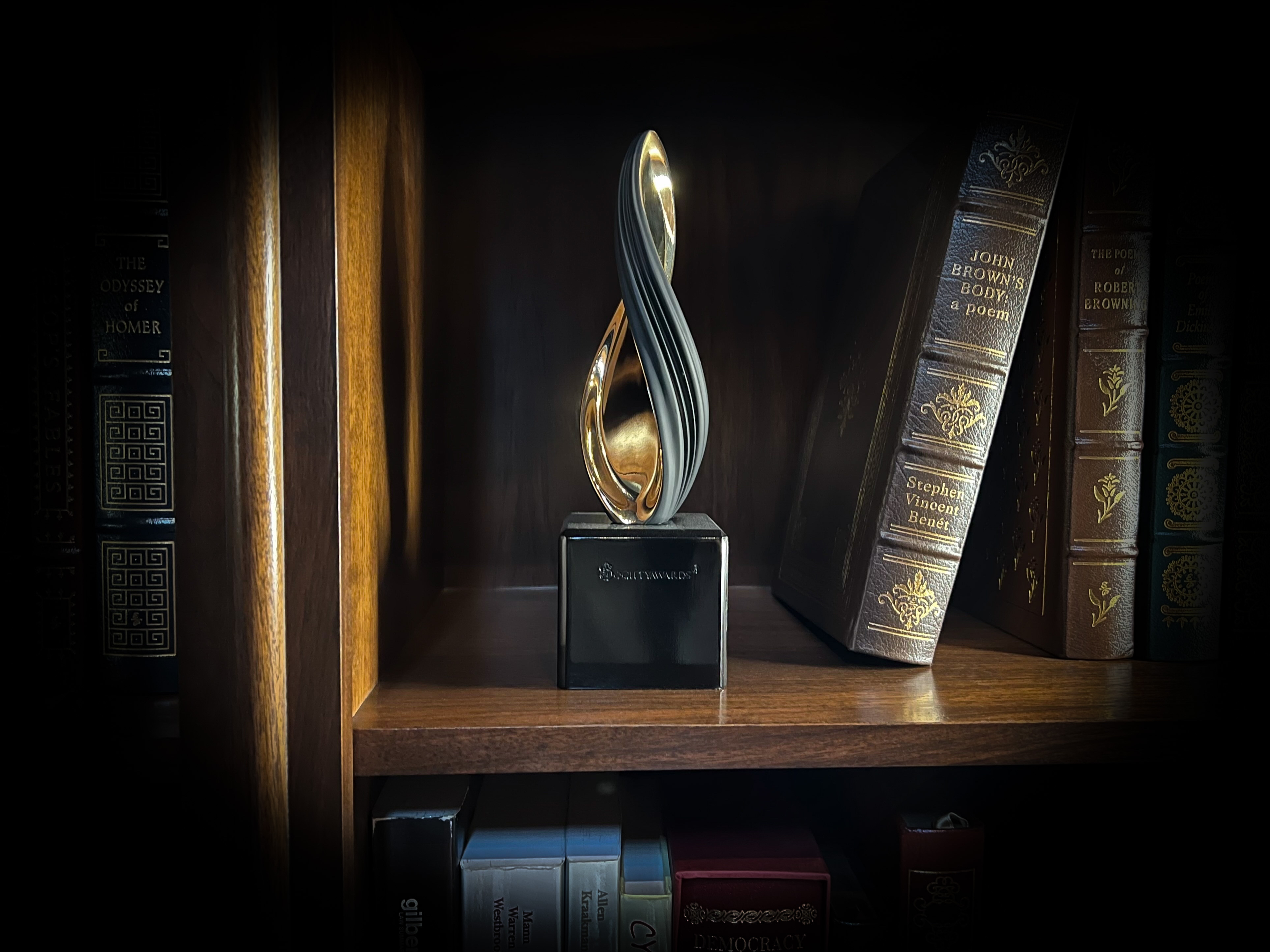 The Twist Texture 2 Black and Gold Trophy as Home Decor on a book shelf 