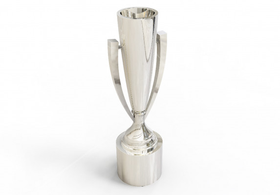 Custom Silver Trophy Cup