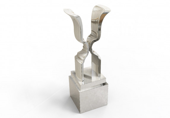 Silver Custom Trophy Cup